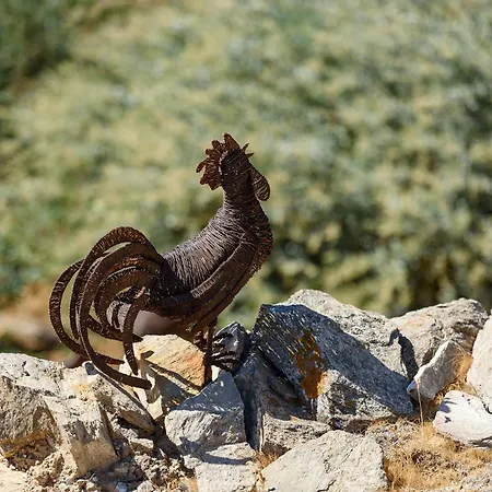 Iparenia * Chrisi Akti (Paros)