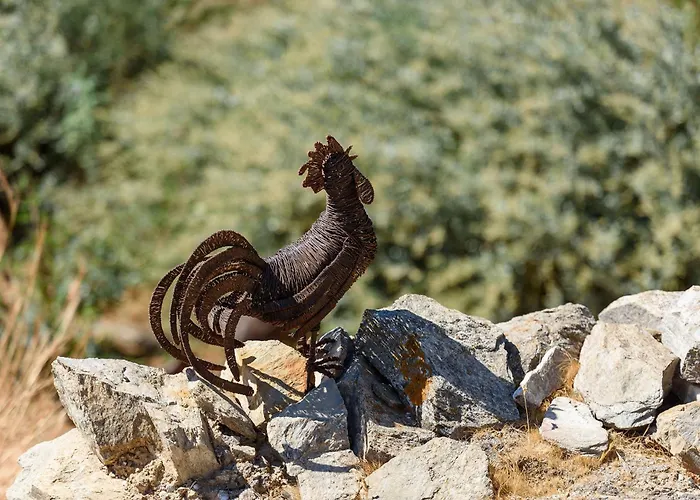 Iparenia * Chrisi Akti (Paros)